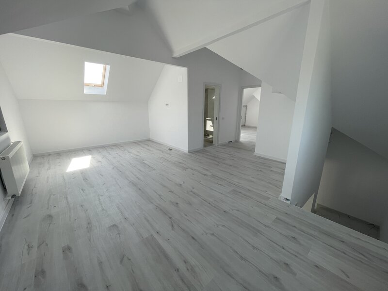 Imobiliare Domnesti - Case langa Padure 3 dormitoare 480m teren